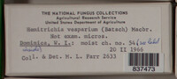 Image Associated With the Occurence